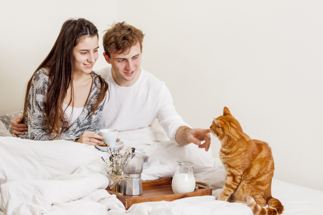 Ипотека 4,4% для ВСЕХ, даже если НЕТ детей